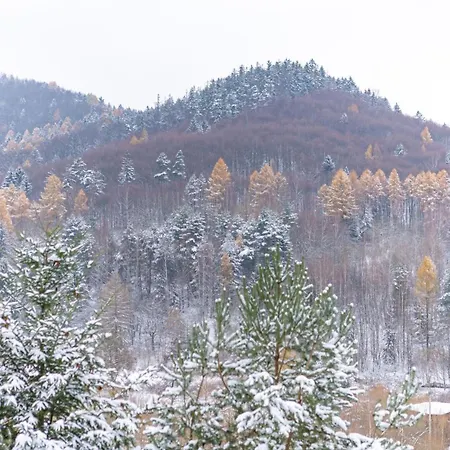 펜션 Dom W Gorach Stolowych Myweek 밤비에지체